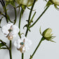 Brinco Orquídea Petit Branco