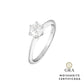 Anel Solitário Glam Moissanite 6 garras 1.0 ct