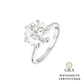 Anel Solitário Glam Moissanite 6 garras 5.0 ct