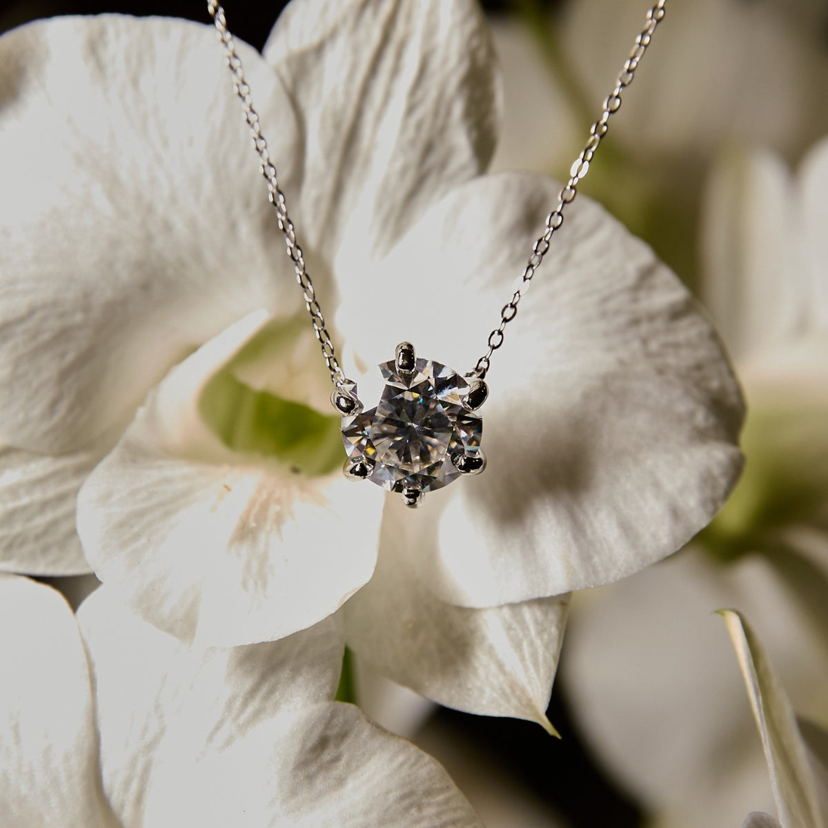 Colar Universo Glam Moissanite 0.5 ct